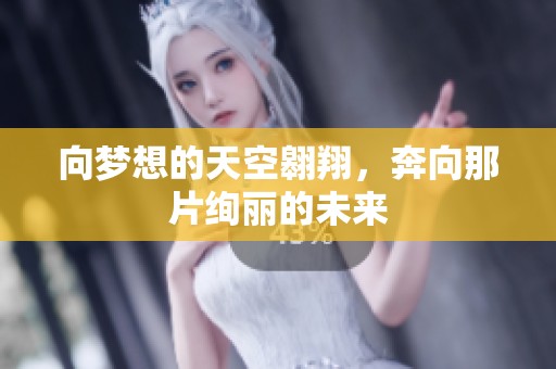 向梦想的天空翱翔，奔向那片绚丽的未来