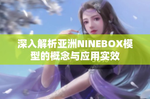 深入解析亚洲NINEBOX模型的概念与应用实效