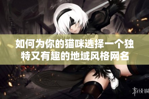 如何为你的猫咪选择一个独特又有趣的地域风格网名