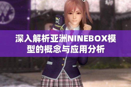 深入解析亚洲NINEBOX模型的概念与应用分析