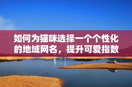 如何为猫咪选择一个个性化的地域网名，提升可爱指数