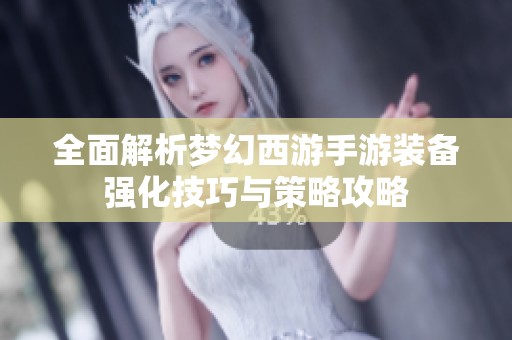 全面解析梦幻西游手游装备强化技巧与策略攻略