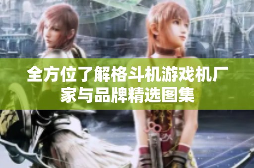 全方位了解格斗机游戏机厂家与品牌精选图集