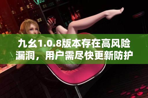 九幺1.0.8版本存在高风险漏洞，用户需尽快更新防护措施
