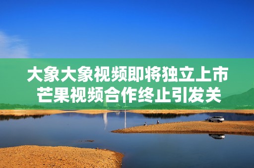大象大象视频即将独立上市 芒果视频合作终止引发关注