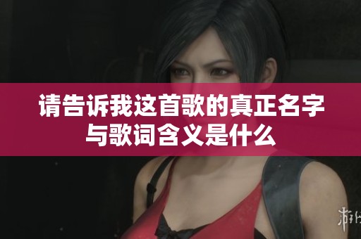 请告诉我这首歌的真正名字与歌词含义是什么