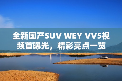 全新国产SUV WEY VV5视频首曝光，精彩亮点一览