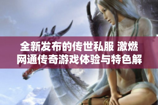 全新发布的传世私服 激燃网通传奇游戏体验与特色解析
