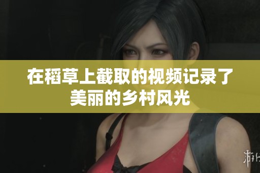 在稻草上截取的视频记录了美丽的乡村风光