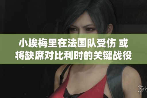 小埃梅里在法国队受伤 或将缺席对比利时的关键战役
