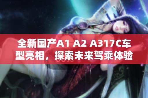 全新国产A1 A2 A317C车型亮相，探索未来驾乘体验
