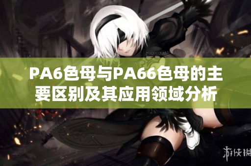 PA6色母与PA66色母的主要区别及其应用领域分析