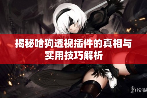 揭秘哈狗透视插件的真相与实用技巧解析