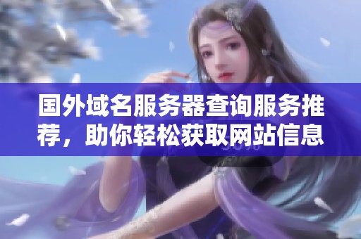国外域名服务器查询服务推荐，助你轻松获取网站信息