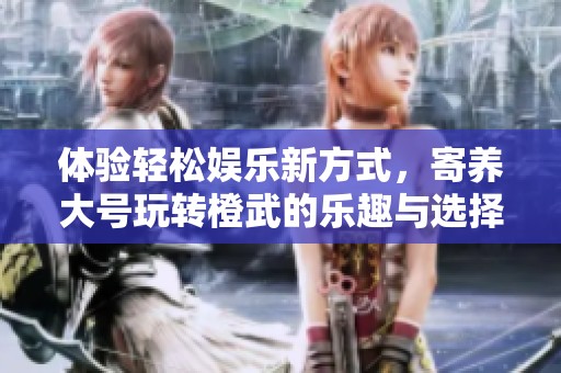 体验轻松娱乐新方式，寄养大号玩转橙武的乐趣与选择