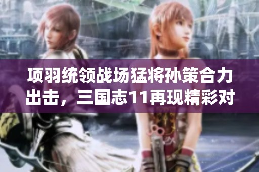 项羽统领战场猛将孙策合力出击，三国志11再现精彩对决