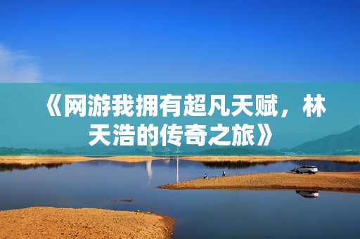 《网游我拥有超凡天赋，林天浩的传奇之旅》