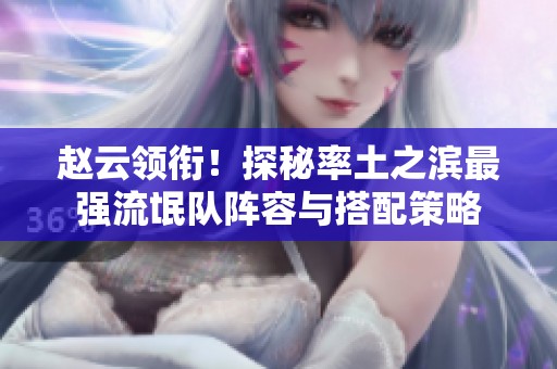 赵云领衔！探秘率土之滨最强流氓队阵容与搭配策略