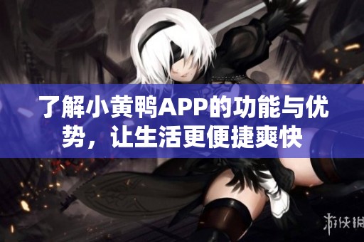 了解小黄鸭APP的功能与优势，让生活更便捷爽快