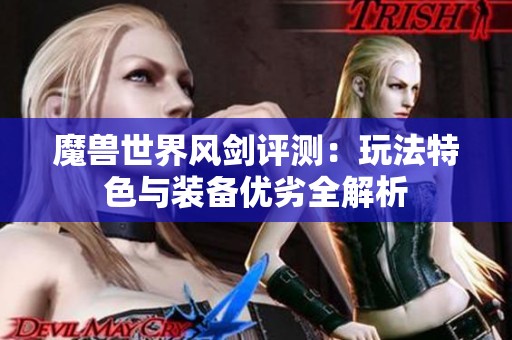 魔兽世界风剑评测：玩法特色与装备优劣全解析