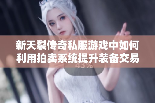 新天裂传奇私服游戏中如何利用拍卖系统提升装备交易效率