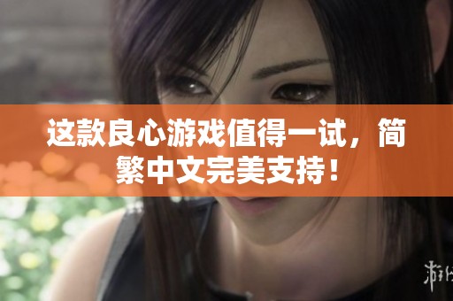 这款良心游戏值得一试，简繁中文完美支持！