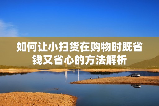如何让小扫货在购物时既省钱又省心的方法解析