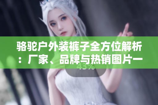 骆驼户外装裤子全方位解析：厂家、品牌与热销图片一览
