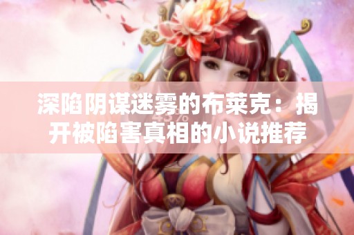 深陷阴谋迷雾的布莱克：揭开被陷害真相的小说推荐