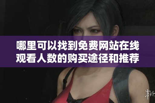 哪里可以找到免费网站在线观看人数的购买途径和推荐