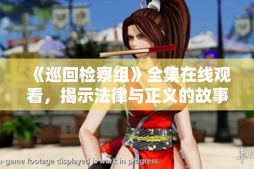 《巡回检察组》全集在线观看，揭示法律与正义的故事