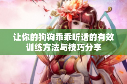 让你的狗狗乖乖听话的有效训练方法与技巧分享