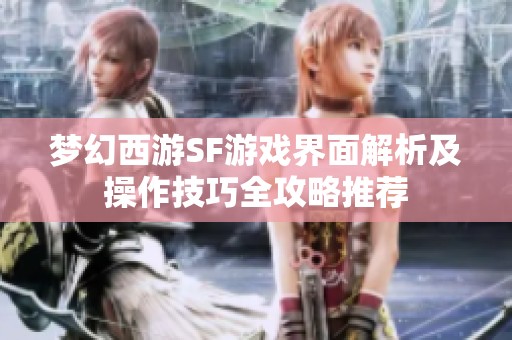 梦幻西游SF游戏界面解析及操作技巧全攻略推荐