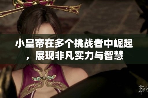 小皇帝在多个挑战者中崛起，展现非凡实力与智慧