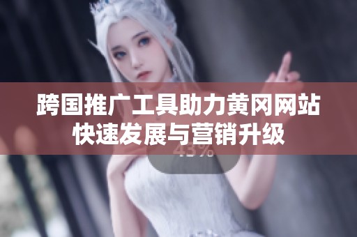 跨国推广工具助力黄冈网站快速发展与营销升级