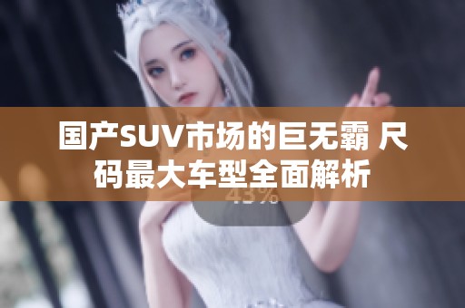 国产SUV市场的巨无霸 尺码最大车型全面解析