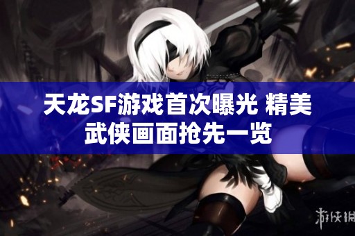 天龙SF游戏首次曝光 精美武侠画面抢先一览