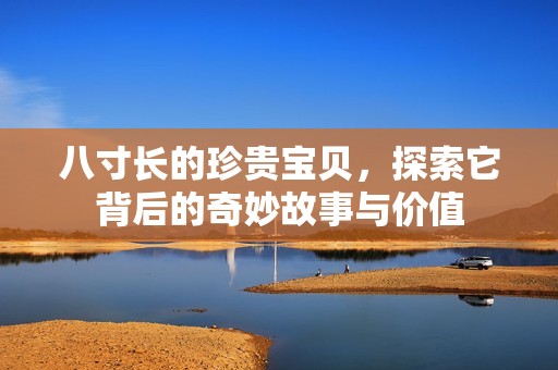 八寸长的珍贵宝贝，探索它背后的奇妙故事与价值