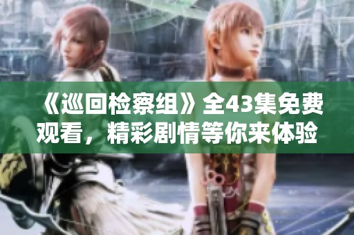 《巡回检察组》全43集免费观看，精彩剧情等你来体验