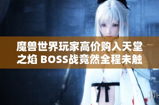 魔兽世界玩家高价购入天堂之焰 BOSS战竟然全程未触发亏损惨重