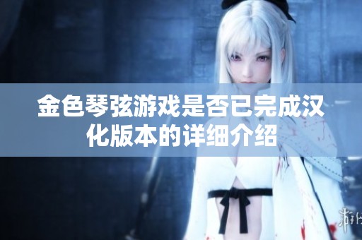 金色琴弦游戏是否已完成汉化版本的详细介绍