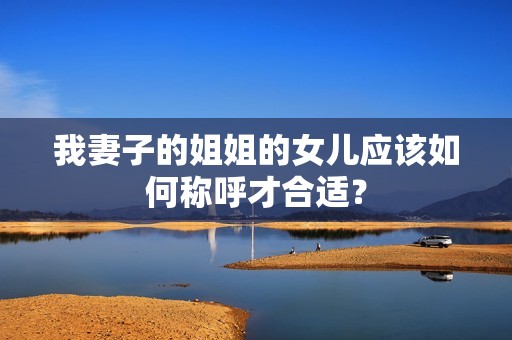 我妻子的姐姐的女儿应该如何称呼才合适？