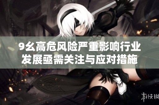 9幺高危风险严重影响行业发展亟需关注与应对措施