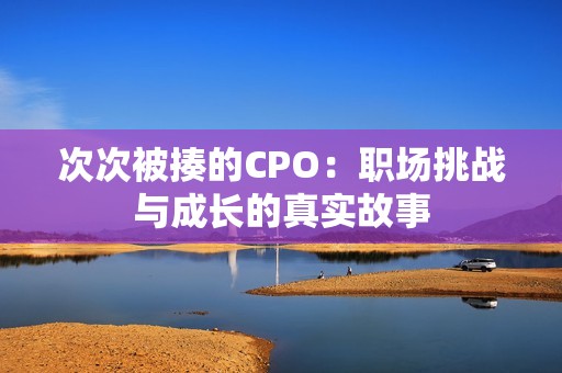 次次被揍的CPO：职场挑战与成长的真实故事