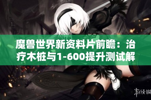 魔兽世界新资料片前瞻：治疗木桩与1-600提升测试解析