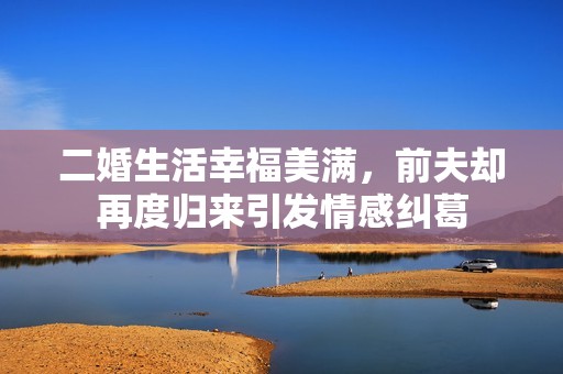 二婚生活幸福美满，前夫却再度归来引发情感纠葛