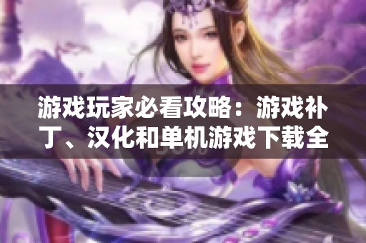 游戏玩家必看攻略：游戏补丁、汉化和单机游戏下载全解析