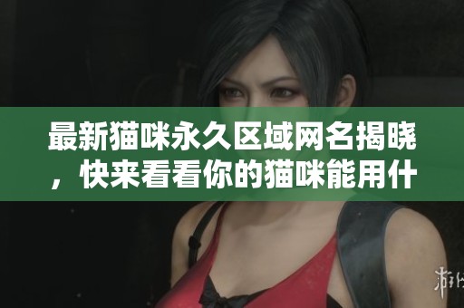 最新猫咪永久区域网名揭晓，快来看看你的猫咪能用什么！