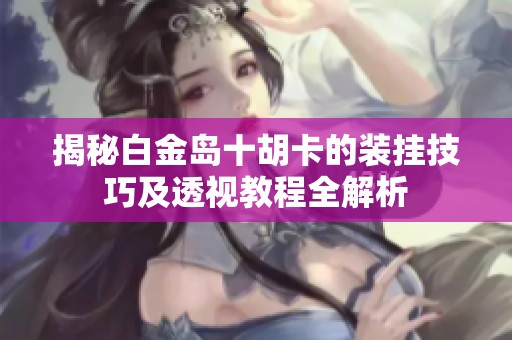 揭秘白金岛十胡卡的装挂技巧及透视教程全解析