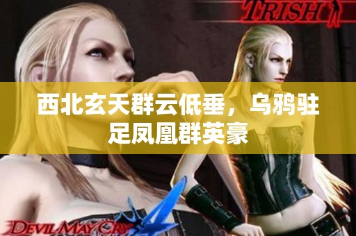 西北玄天群云低垂，乌鸦驻足凤凰群英豪